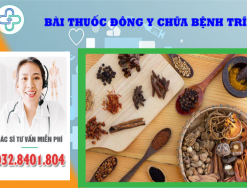 Top 7 bài thuốc đông y chữa bệnh trĩ hiệu quả và an toàn