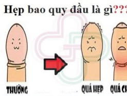 Giải đáp: Bao quy đầu là gì? Chức năng và các bệnh bao quy đầu?