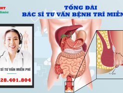 Tư vấn bệnh trĩ trực tuyến miễn phí cùng bác sĩ chuyên khoa - 0328401804