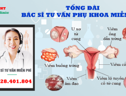 Tổng đài bác sĩ tư vấn phụ khoa online miễn phí - 0328401804