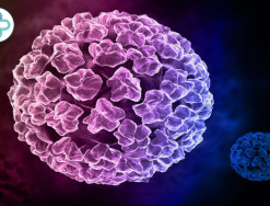 Virus HPV là gì? Nguyên nhân, triệu chứng và phòng ngừa